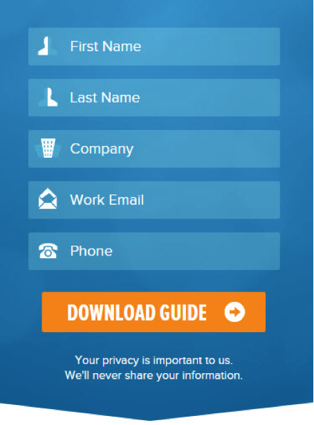 Example of a privacy notice on a landing page form