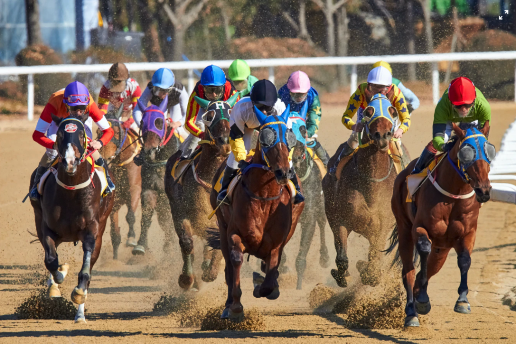 23 states in the US have passed legislation for sports betting